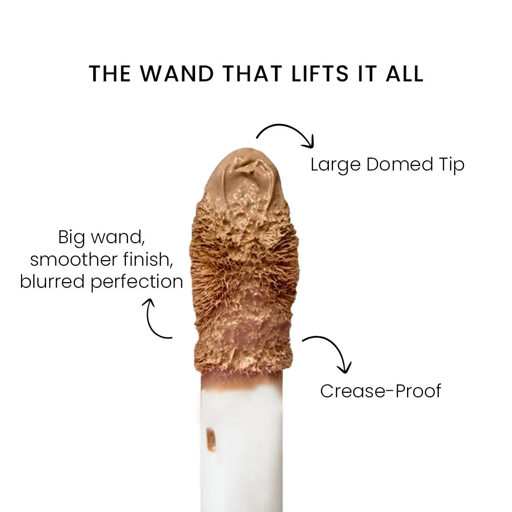 Shopaarel True Color Concealer 22N